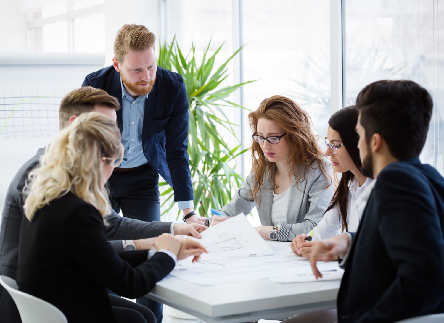 Why Companies Choose Curucaye